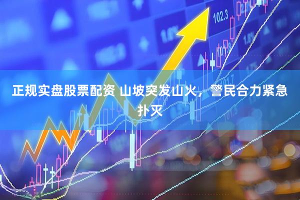 正规实盘股票配资 山坡突发山火，警民合力紧急扑灭